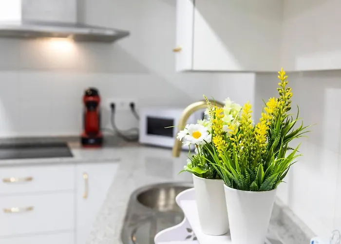 Lejlighed Sh Rujacor Mare. Chic En La Vina